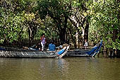 Tonle Sap - Kampong Phluk - Flooded mangrove forest
